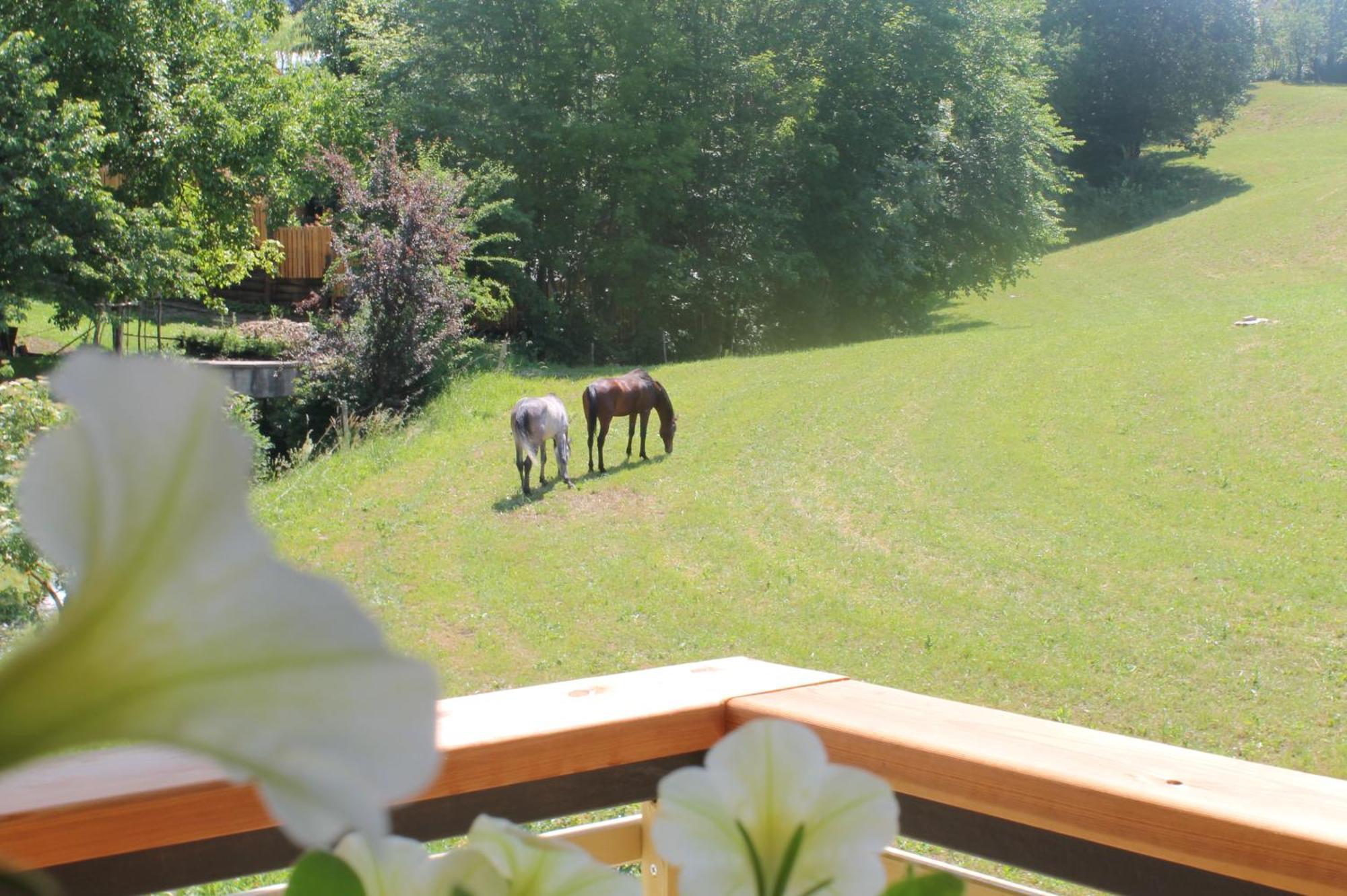 House Gabrijel With Four Seasons Outdoor Kitchen Villa Bled Exterior foto